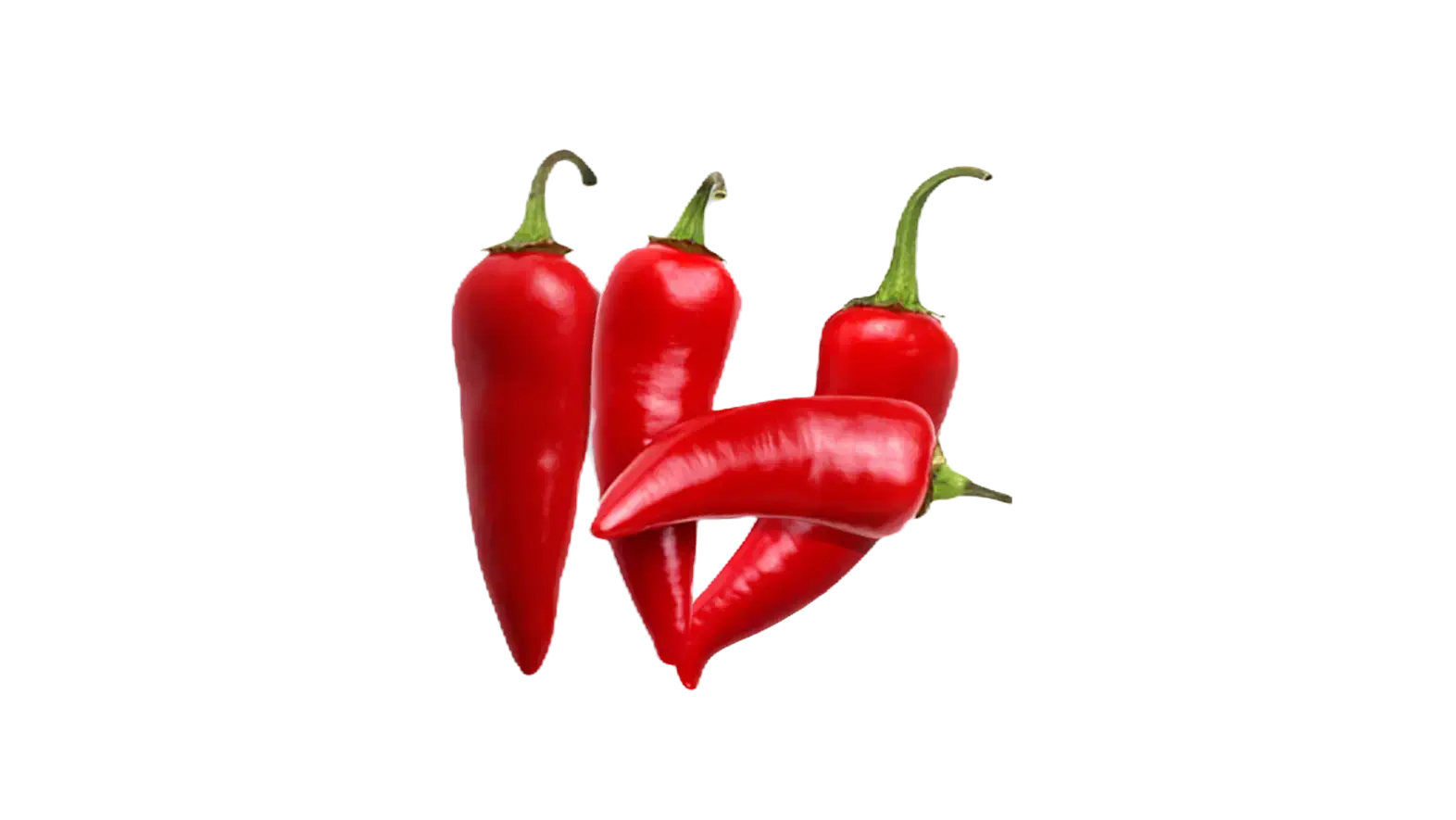 chilli